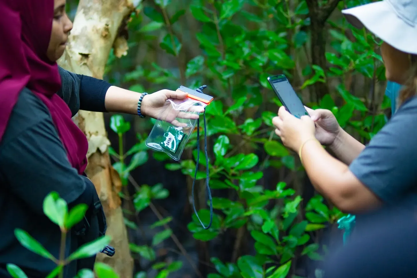 GainForest team members help local NGOs deploy AudioMoth sensors in the Southern Philippines